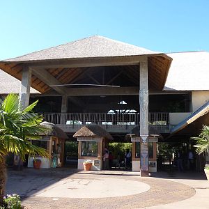 African Safari Style Entrance