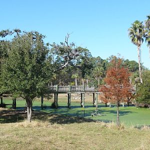 Bongo/Impala/Crane/Hornbill Paddock