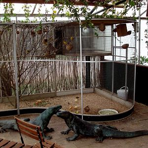 North Zealand Birdpark - Aviary