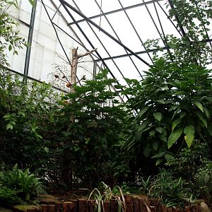 North Zealand Birdpark - Tropical hall