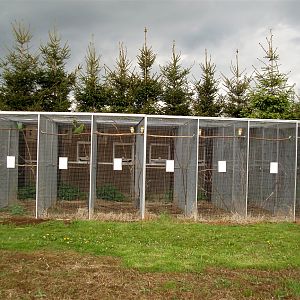 North Zealand Birdpark - Aviaries