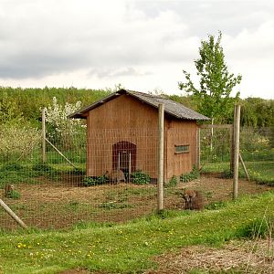 North Zealand Birdpark - Wallaby exhibit