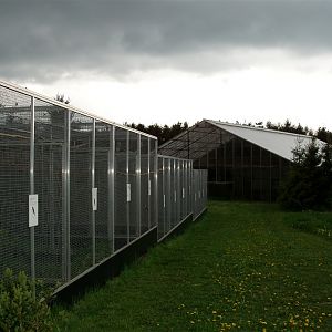 North Zealand Birdpark - Lory aviaries