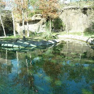 North American River Otter Exhibit