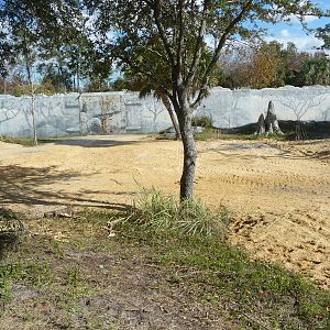 Terrible Gorilla Exhibit