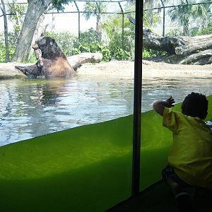 Black Bear and Children - Florida Pioneer Trail
