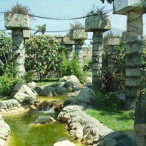 Jaguar enclosure - Tropics of the Americas