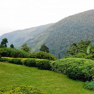 View to the North from Silverback Lodge