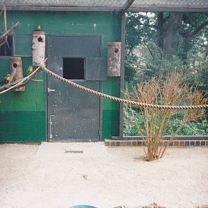 Aviary for the Rainbow lorikeets