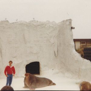 The old Walrus-enclosure
