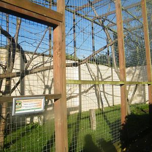 howler monkey enclosure