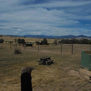 General views of the zoo
