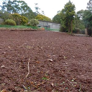 Site of the old Small Mammal House, 30 October 2013