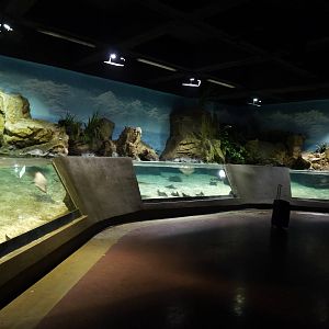 Ray tank, June 2013.