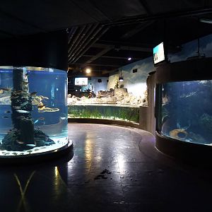 Lower level tanks, June 2013.