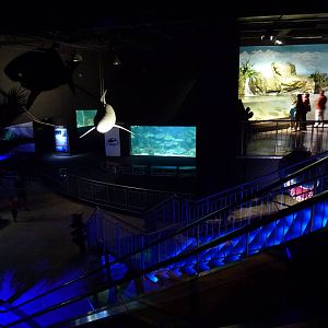 Viewing areas, June 2013.