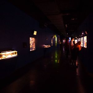 Upper level tanks, June 2013.