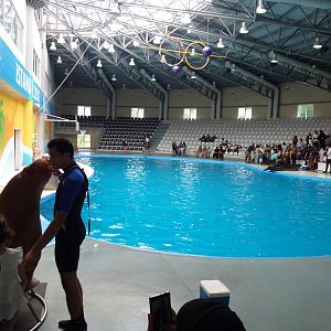 Photo opportunities, June 2013.