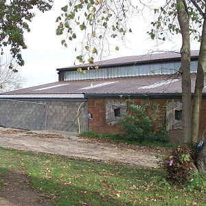 Former Elephant House being converted for Indian Rhinos, 31st October 2013