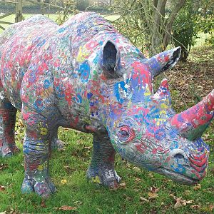 The only Rhino near the conversion, 31st October 2013