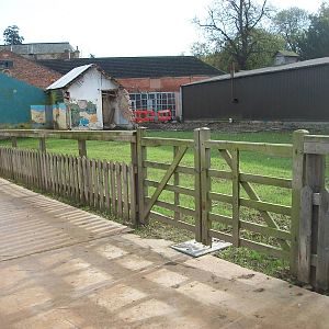 What happened to the Reptile House? 31st October 2013