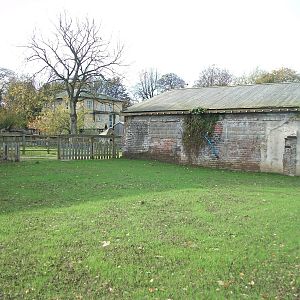What happened to the Reptile House? 31st October 2013