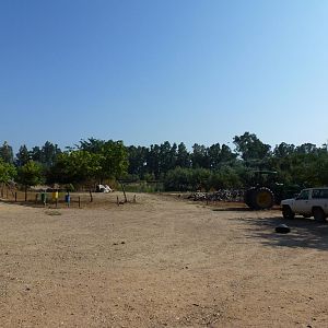 Lakeside tracks, July 2013.