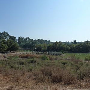 One of the main lakes, July 2013.