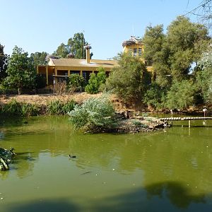 Waterfowl pond, July 2013.