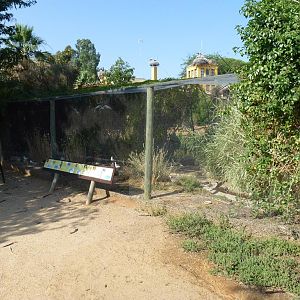 Waterbird aviary, July 2013.