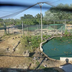 Waterfowl pond, July 2013.