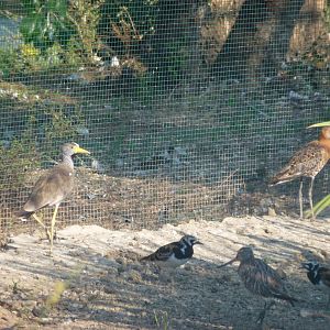 An interesting gathering, July 2013.