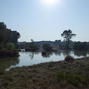 Main lake, July 2013.