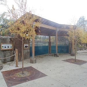 Beaver Exhibit