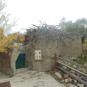Beaver Exhibit
