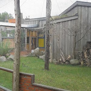 Aviary for starlings, hornbills and tortoises