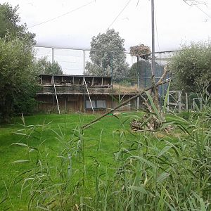 Wader walk-through aviary