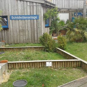 Outdoor enclosures European tortoises