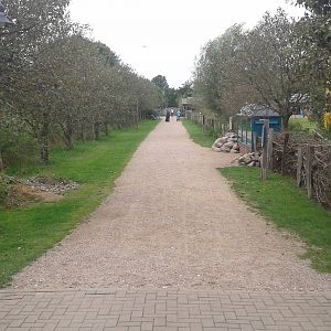 General view in the park