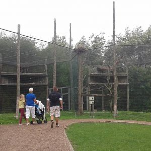Bird of prey aviaries