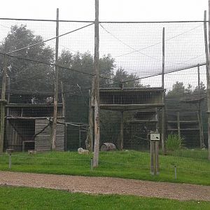 Bird of prey aviaries