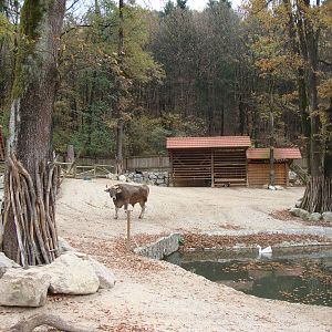 Ljubljana Zoo October 2013