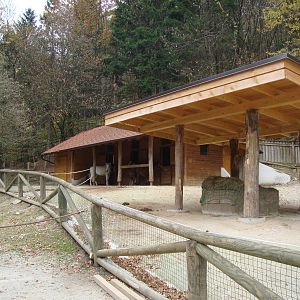 Ljubljana Zoo October 2013