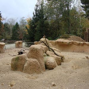 Ljubljana Zoo October 2013