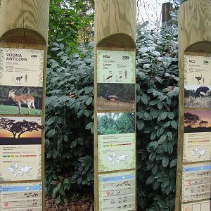 Ljubljana Zoo October 2013