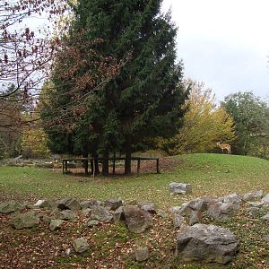 Ljubljana Zoo October 2013