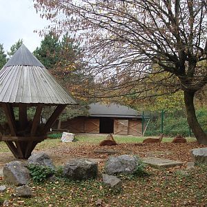 Ljubljana Zoo October 2013