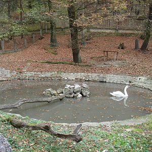 Ljubljana Zoo October 2013