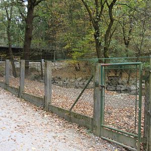Ljubljana Zoo October 2013