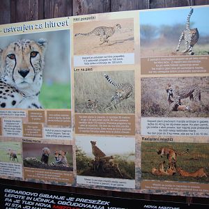 Ljubljana Zoo October 2013